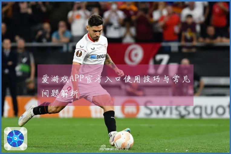 爱游戏APP官方入口使用技巧与常见问题解析
