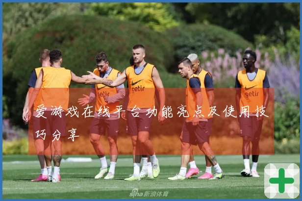 爱游戏在线平台功能亮点及使用技巧分享