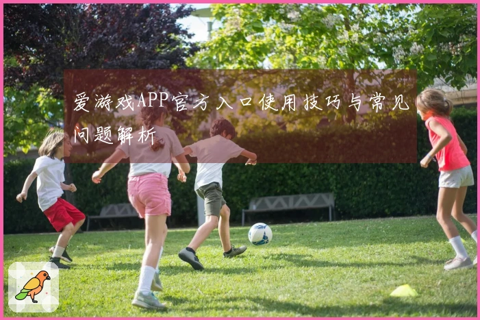 爱游戏APP官方入口使用技巧与常见问题解析