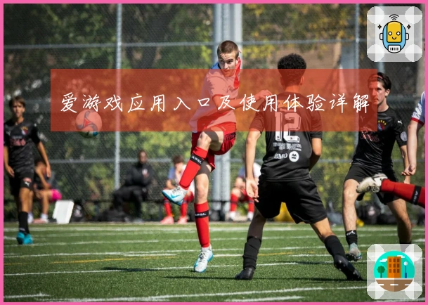 爱游戏应用入口及使用体验详解