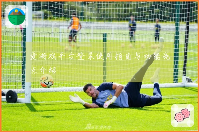 爱游戏平台登录使用指南与功能亮点介绍